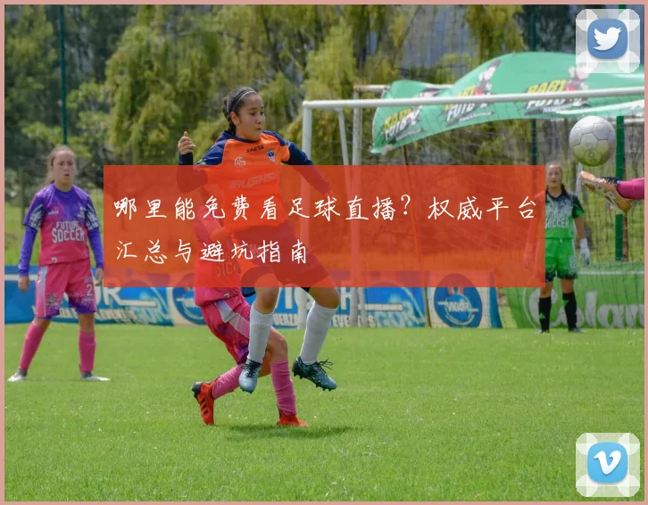 哪里能免费看足球直播？权威平台汇总与避坑指南