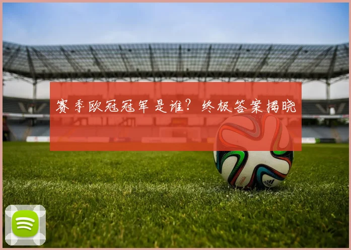 赛季欧冠冠军是谁？终极答案揭晓