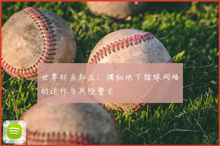 世界杯当私庄：揭秘地下赌球网络的运作与风险警示