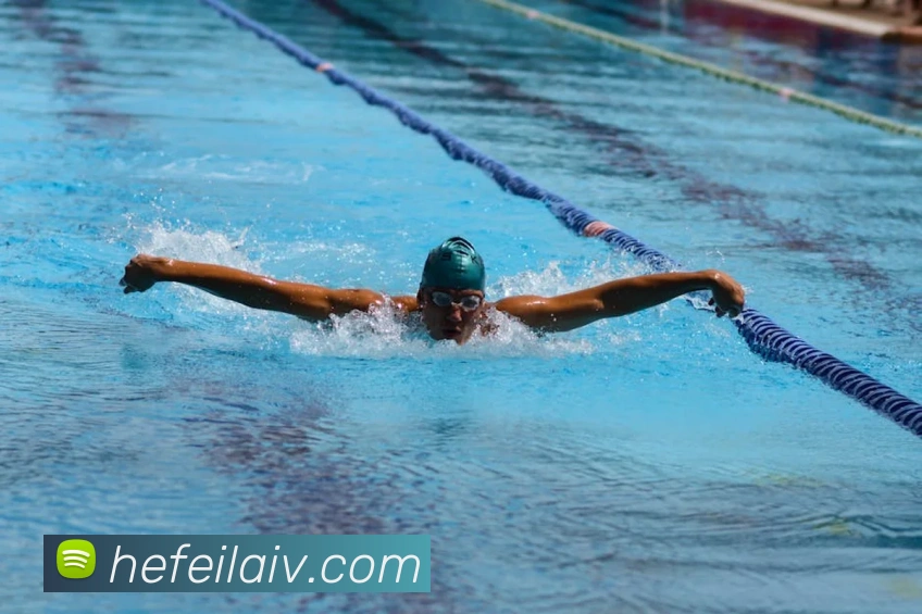 App Interface Preview