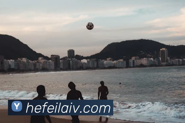 九游j9官网APP 封面图